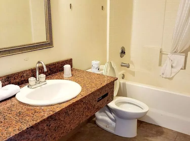 ホテル Metro Inn & Suites