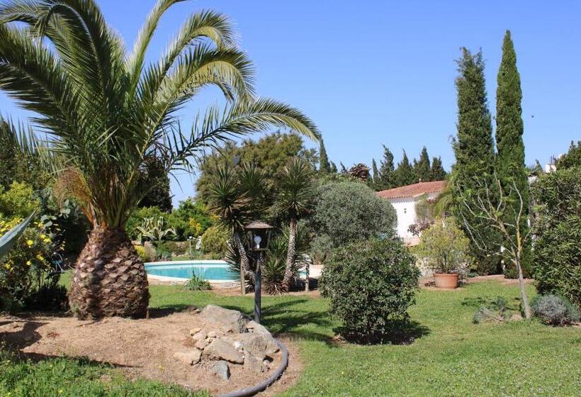 پانسیون Casa Gecko