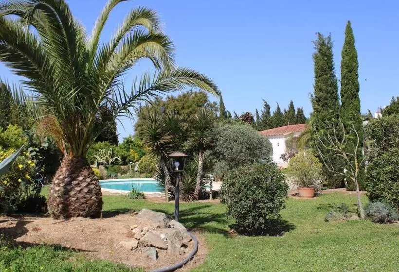 Majatalo Casa Gecko
