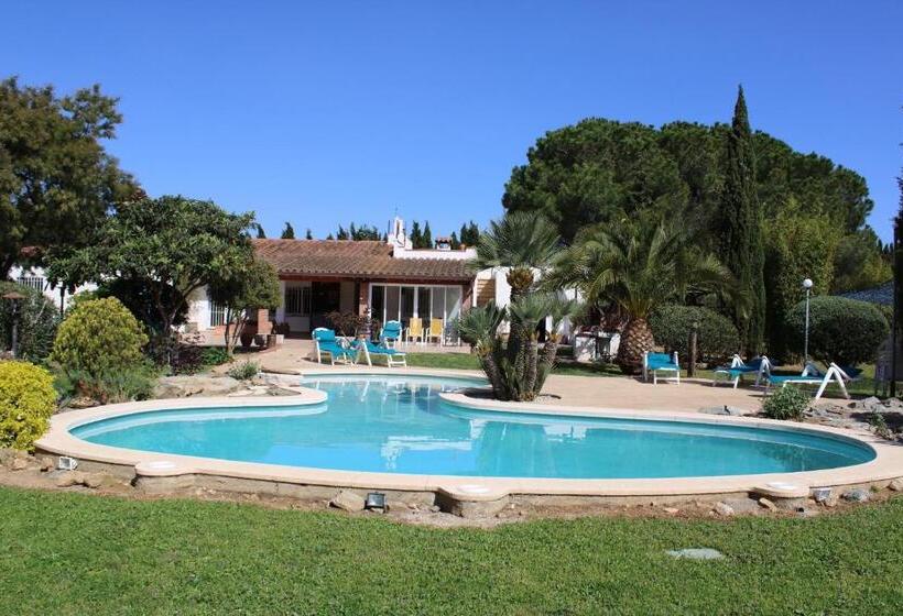 پانسیون Casa Gecko