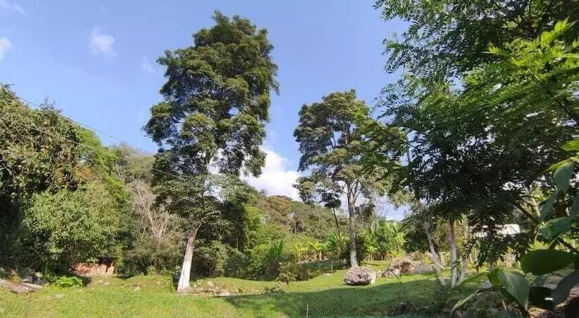 Hotelli Finca Campestre Rancho Alegre