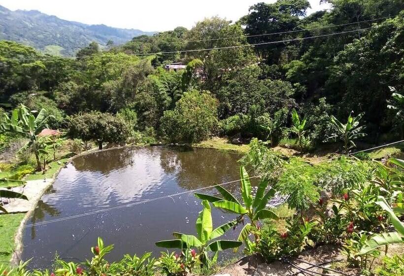 ホテル Finca Campestre Rancho Alegre