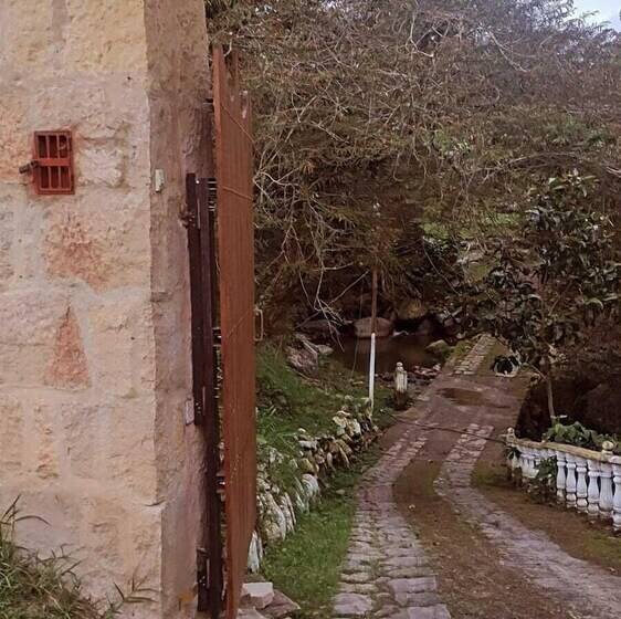 ホテル Finca Campestre Rancho Alegre