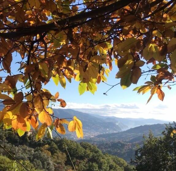 La Riviera Bed & Breakfast