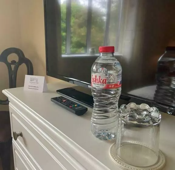 ペンション Sycamore Lodge