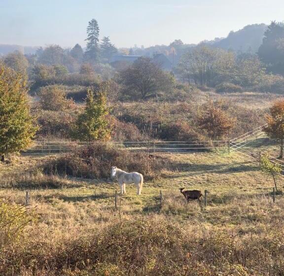 민박 La Grenouillère   Chambre D Hôtes De Charme
