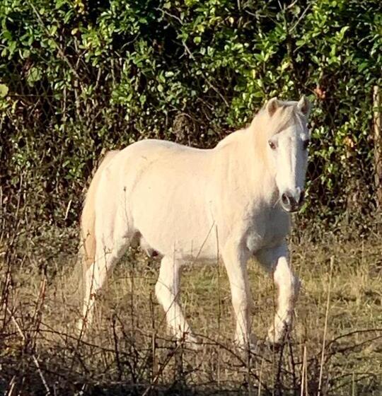 민박 La Grenouillère   Chambre D Hôtes De Charme