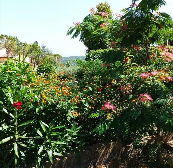 Casa Mimosa Holiday Room