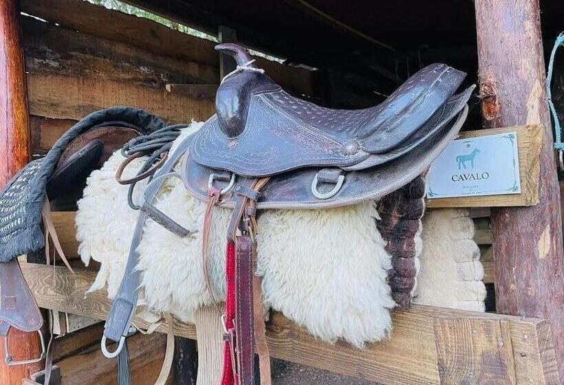 膳宿费 Floresta Secreta  Pousada Cachoeira Da Neve