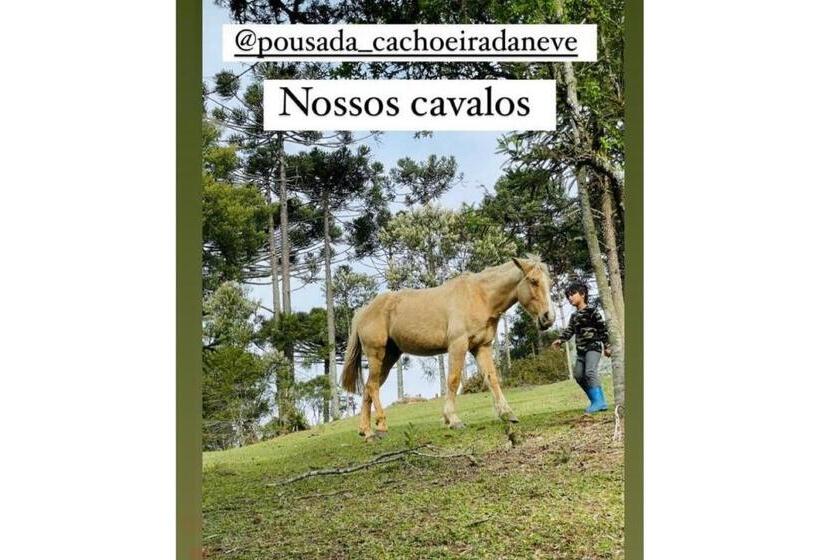 膳宿费 Floresta Secreta  Pousada Cachoeira Da Neve