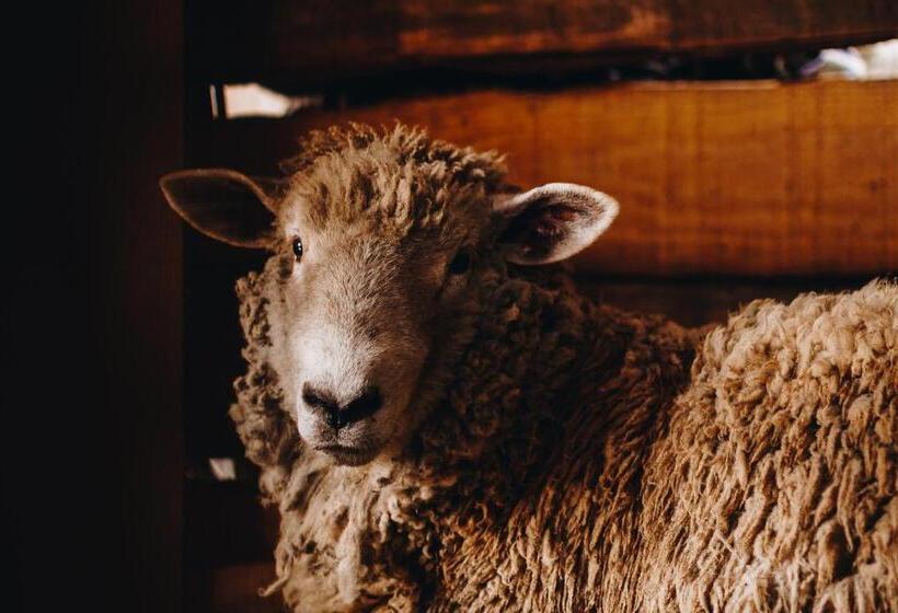 膳宿费 Floresta Secreta  Pousada Cachoeira Da Neve