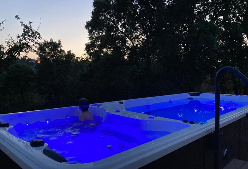 פנסיון Quinta Vale De Palheiros