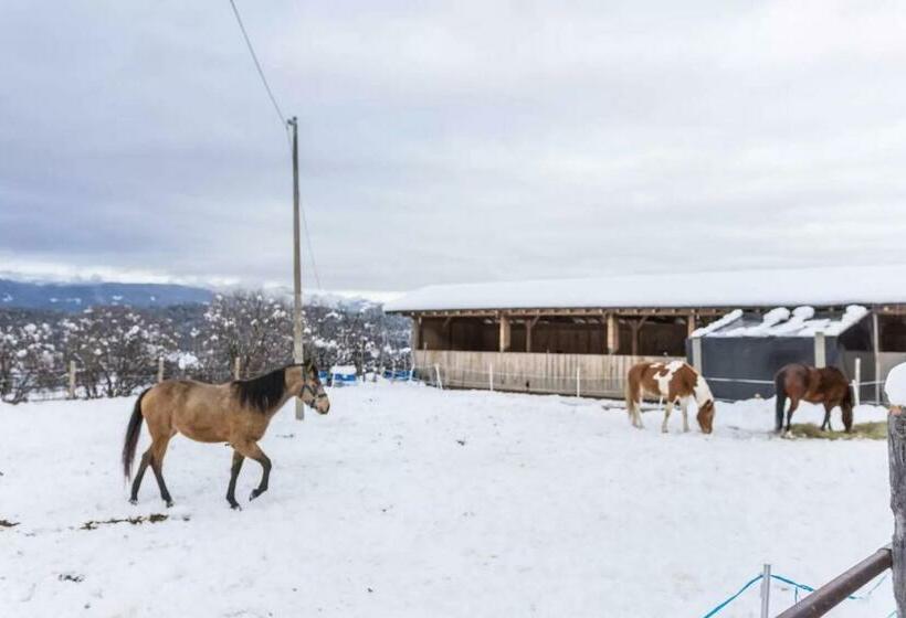 Ladinser Hof Sternenhimmel