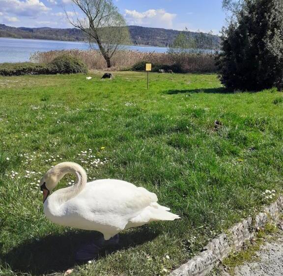 צימר Room Country Lake