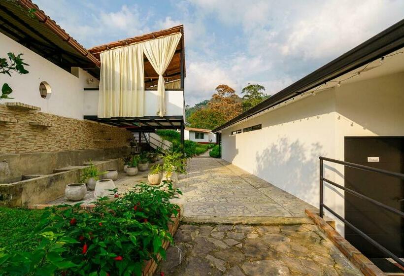 בית מלון כפרי Acaima Café Lodge