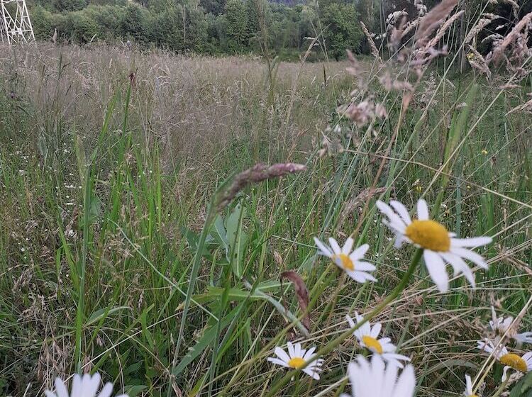 بنسيون Room In Guest Room   Heavenly Sejour Forest For 2 People