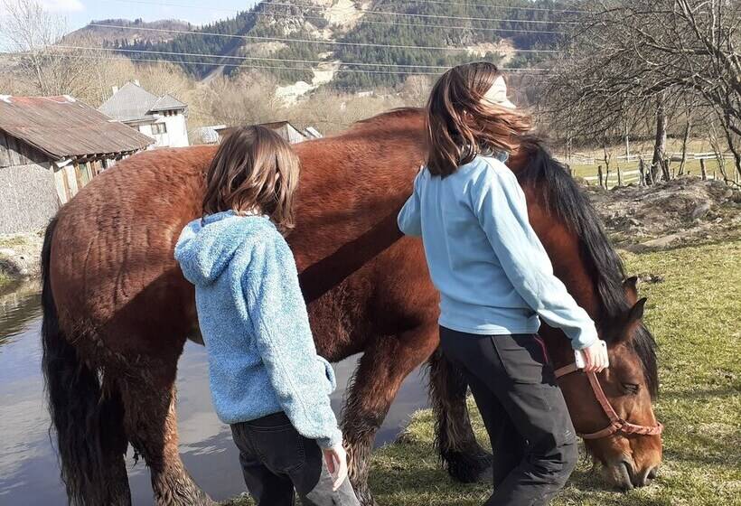 بنسيون Room In Guest Room   Heavenly Sejour Forest For 2 People