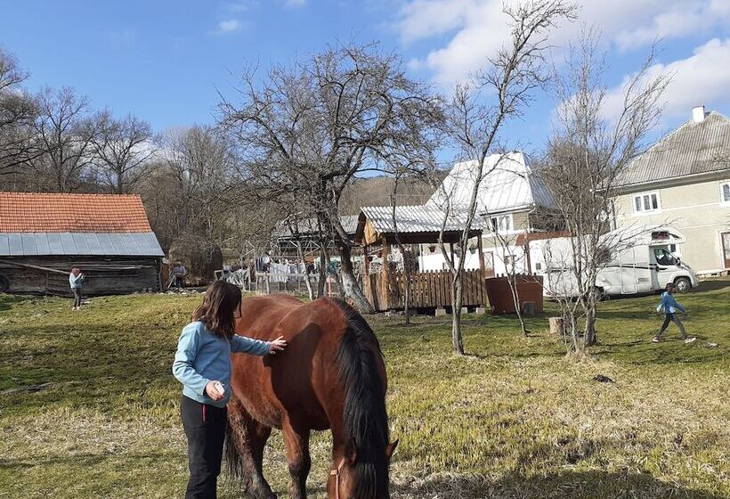 بنسيون Room In Guest Room   Heavenly Sejour Forest For 2 People