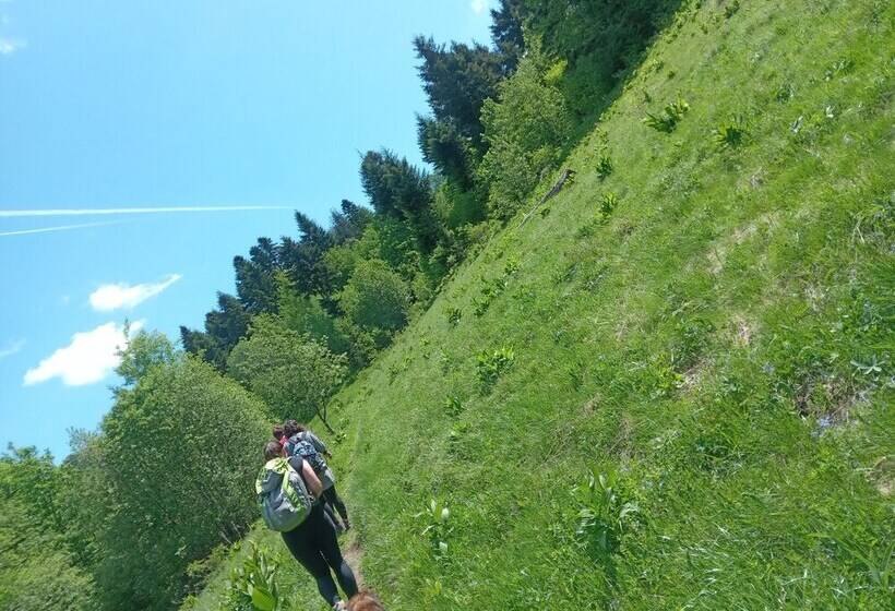 بنسيون Room In Guest Room   Heavenly Sejour Forest For 2 People