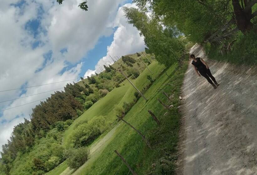 بنسيون Room In Guest Room   Heavenly Sejour Forest For 2 People