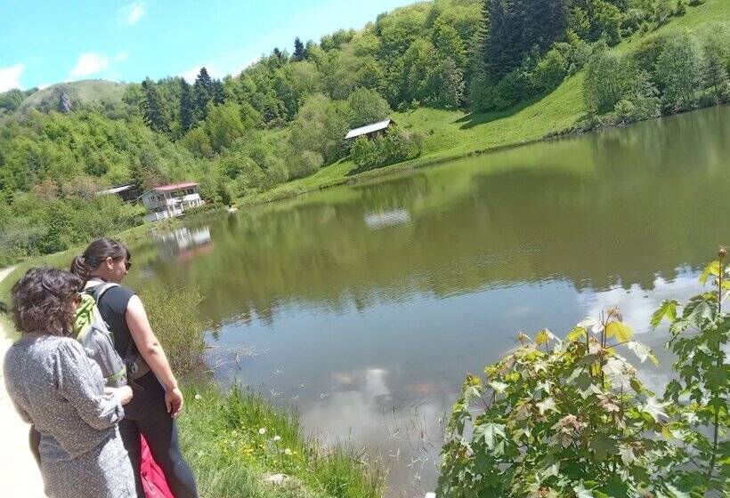 بنسيون Room In Guest Room   Heavenly Sejour Forest For 2 People