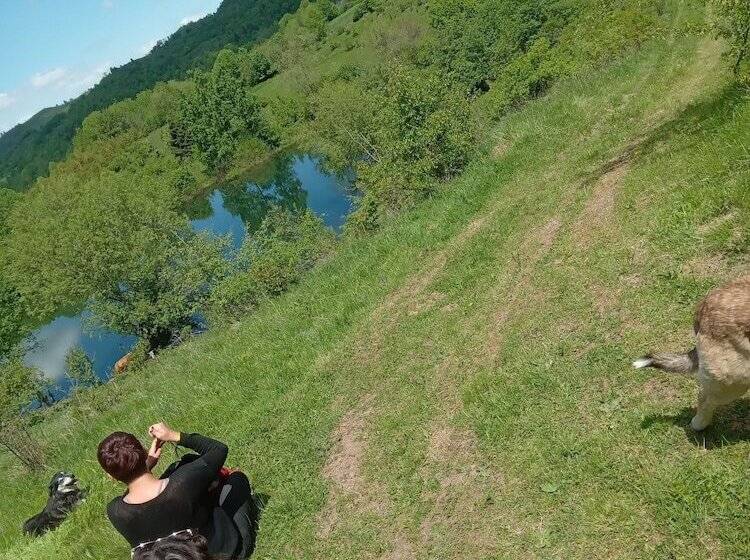 بنسيون Room In Guest Room   Heavenly Sejour Forest For 2 People