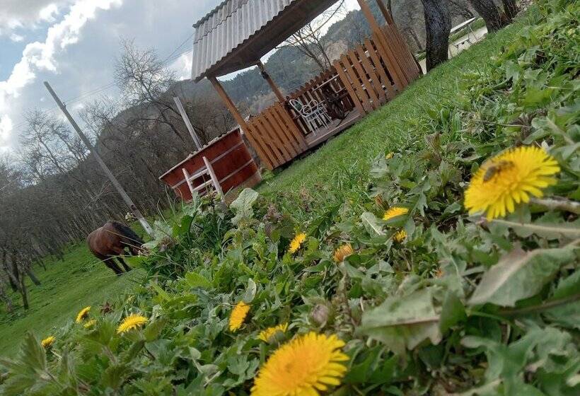 بنسيون Room In Guest Room   Heavenly Sejour Forest For 2 People