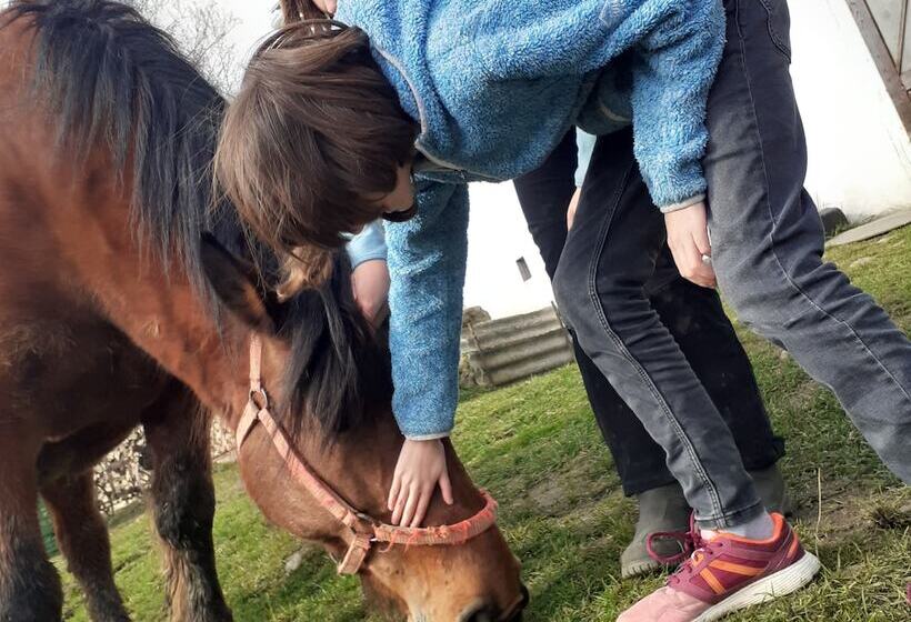 بنسيون Room In Guest Room   Heavenly Sejour Forest For 2 People