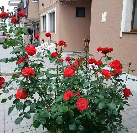 Premont Studios Ghimbav