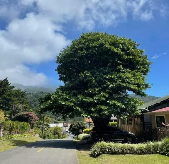 ペンション Hostal Vista Boquete