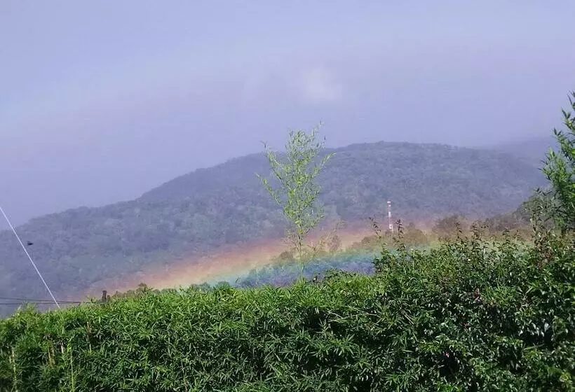 ペンション Hostal Vista Boquete