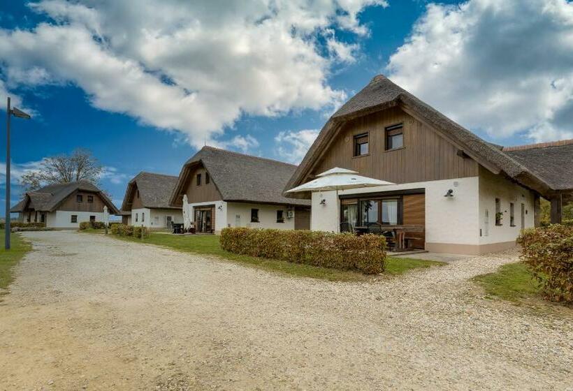 Apartments Pannonian Studio   Happy Rentals