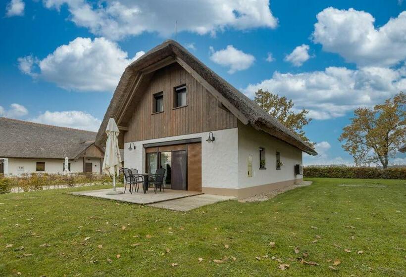 Apartments Pannonian Studio   Happy Rentals