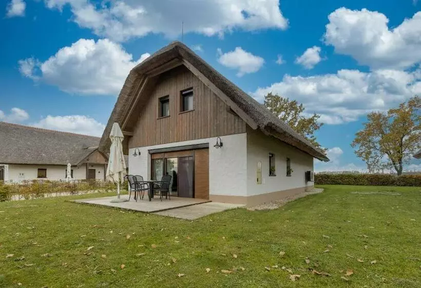 Apartments Pannonian Studio   Happy Rentals