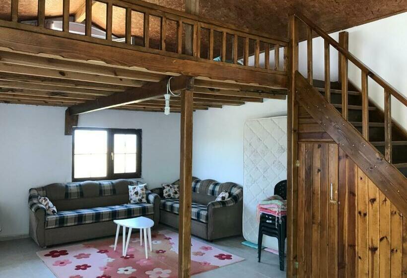 Guneylide Wifi Li Super Konak