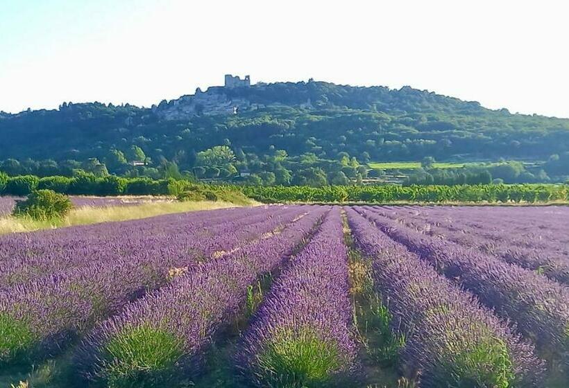 膳宿费 La Villa 1777