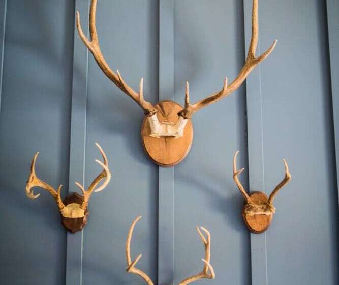 فندق Anglers Lodge