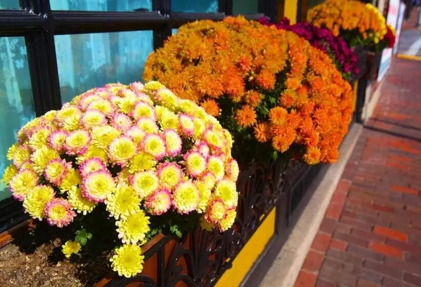 호텔 Inn At St John Portland In Town