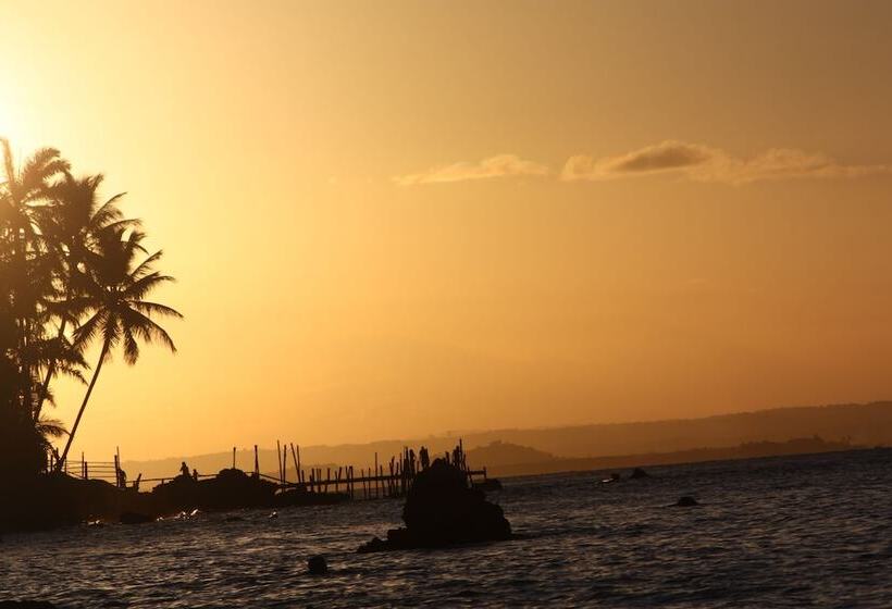 فندق Papagaio Hostel & Pousada