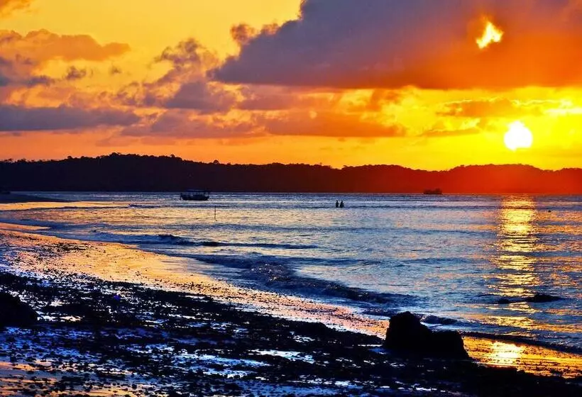 Отель Papagaio Hostel & Pousada