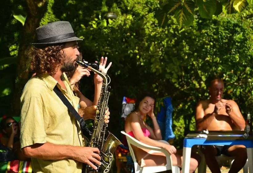 Отель Papagaio Hostel & Pousada