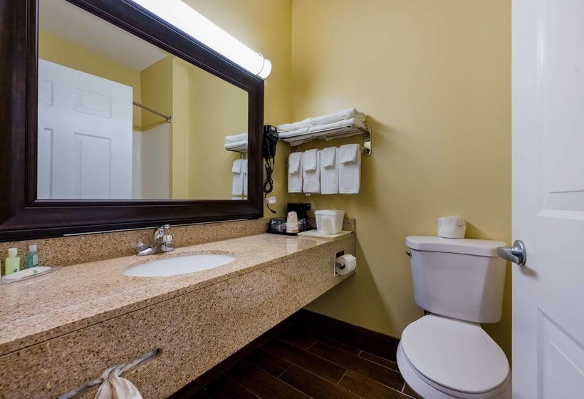 ホテル Quality Inn Fort Payne I 59 Exit 222