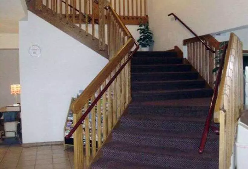 ホテル Rodeway Inn