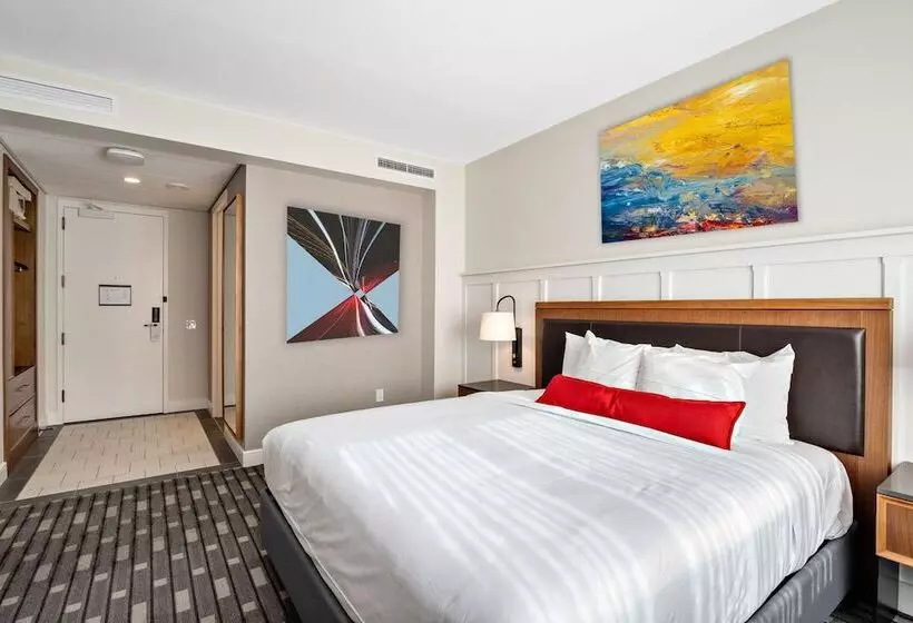 Hotelli The Knight Center At Washington University