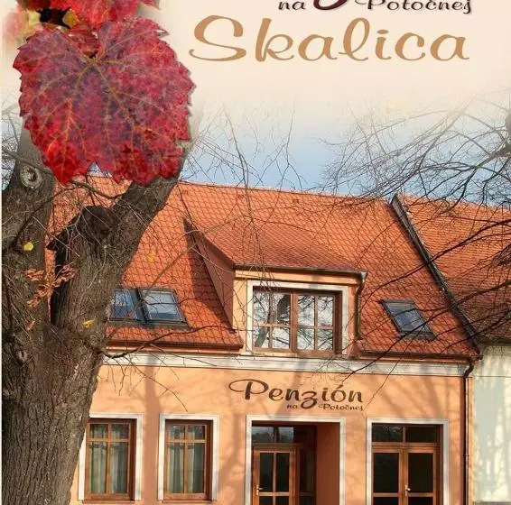 بنسيون Penzion Na Potočnej
