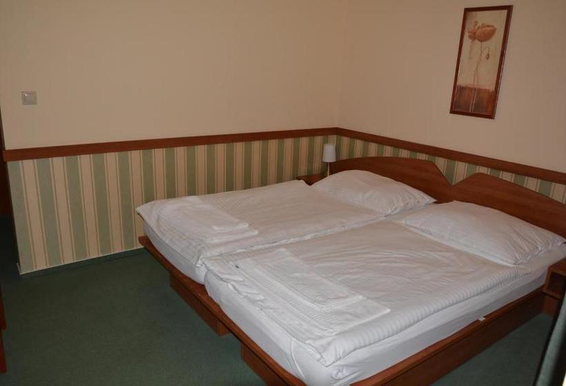 بنسيون Penzion Na Potočnej