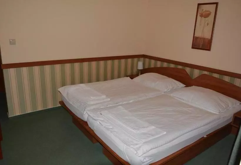 بنسيون Penzion Na Potočnej