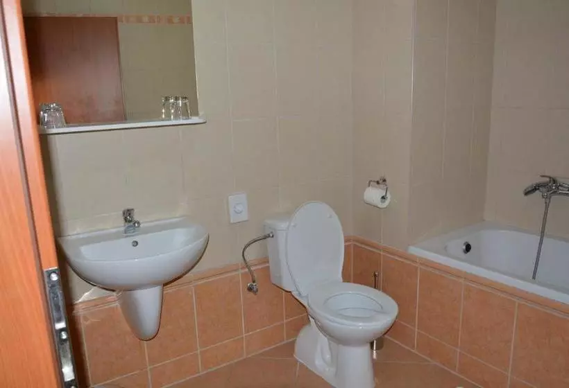 بنسيون Penzion Na Potočnej