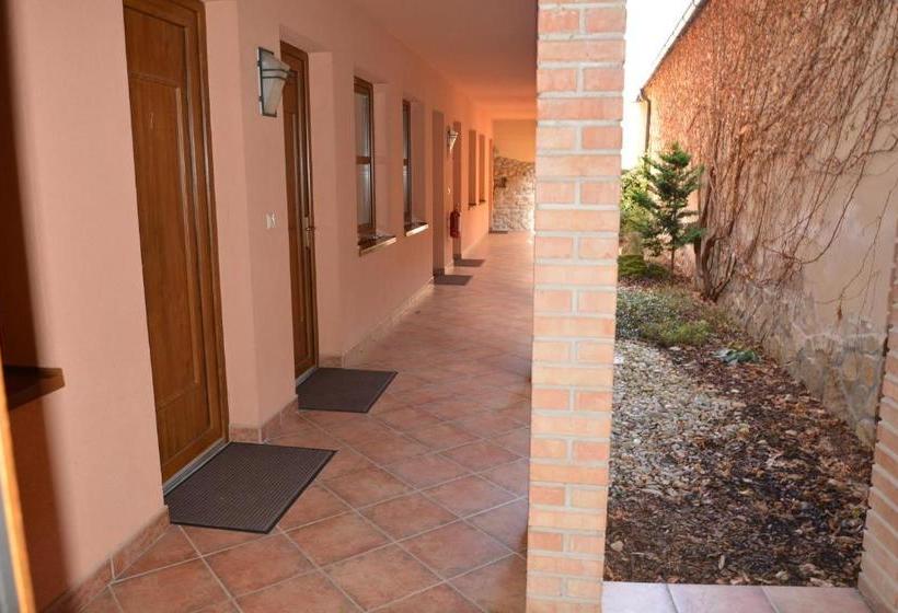 بنسيون Penzion Na Potočnej