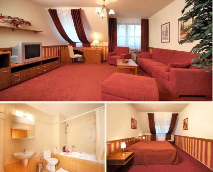 بنسيون Penzion Na Potočnej